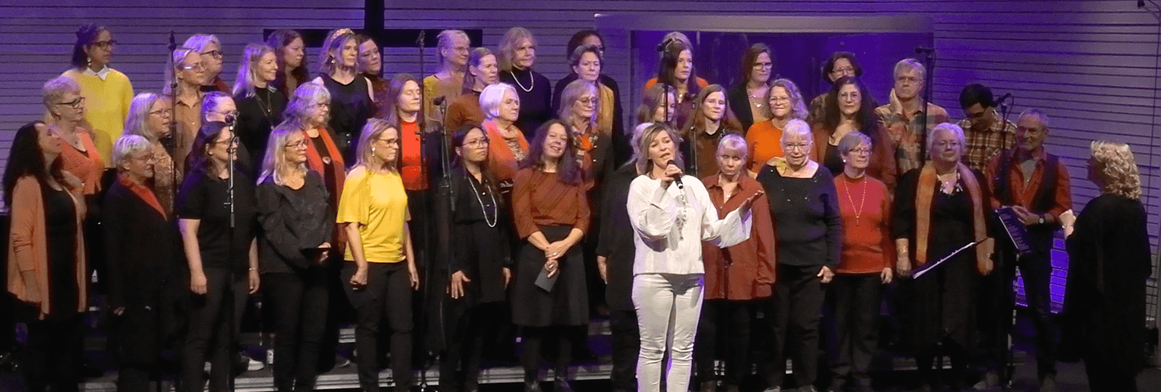 TV ht 23 konsertbild Malin